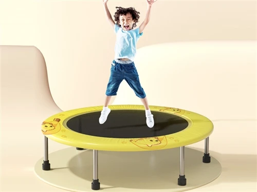 Don't Be Bored! A Trampoline Instantly Becomes A Fun Exercise Tool For Your Living Room.